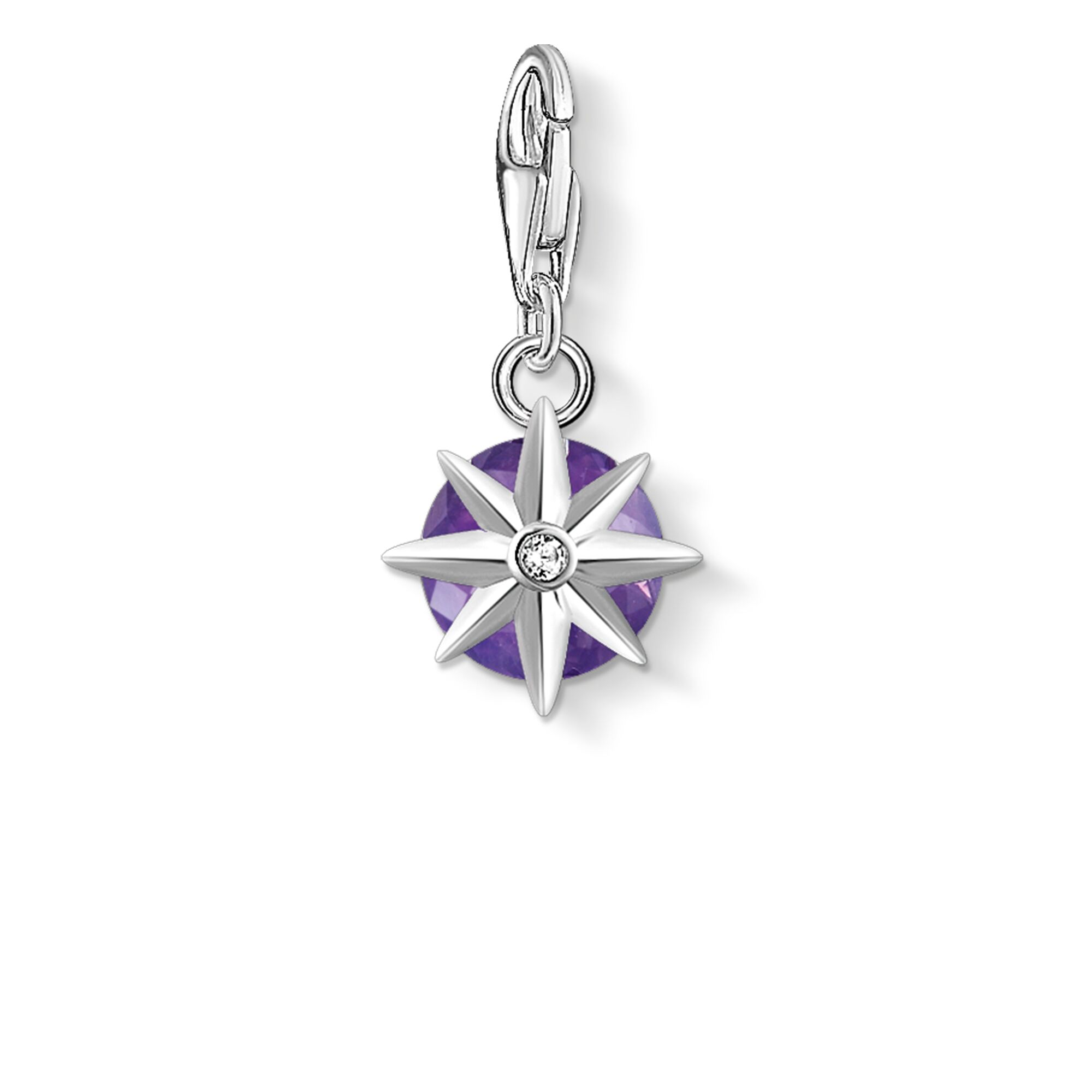 Thomas Sabo Charm Silber Geburtsstein Februar 1792-169-13